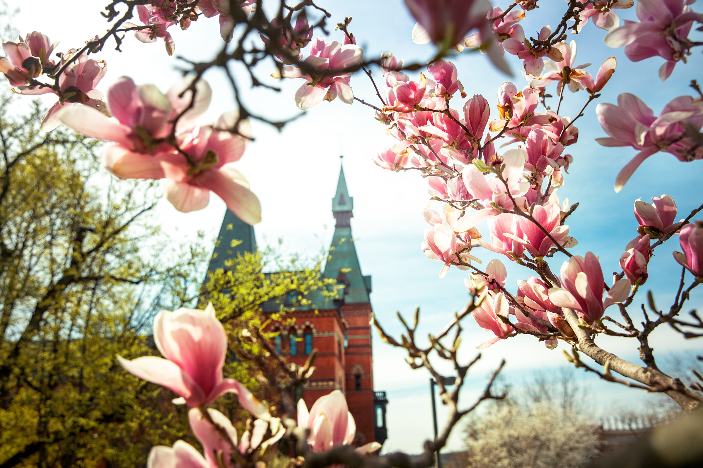 Alternative text can be provided for meaningful images, or left empty for purely decorative images.